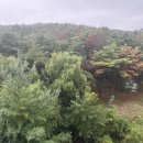 성호리조트사우나 | 경주 성호리조트 슈페리어 후기 가족여행 숙소 추천