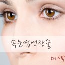 미색단장 이미지