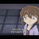 홍장미 이미지