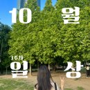 구당김밥일번지 | 무지출 챌린지 10월 첫쨋주 일상