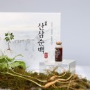 농업회사법인(주)올피드 | 지치는 늦여름 부모님 건강 챙기기, 함양 산양산삼 추출액 '산삼순백' 성분·후기 분석