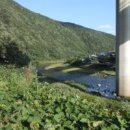 옥룡 GS마트 이미지