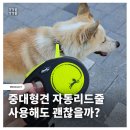 P-5L04 | 중대형견 강아지 자동리드줄 괜찮을까? 플렉시 내돈내산 후기