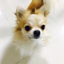 프라임동물병원 이미지