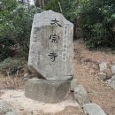 공공운영시설노동조합 | 부산 태종대 다누비열차 운영시간, 요금, 해녀촌 후기 총정리(호갱방지꿀팁)