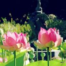 더행복한케어 이미지