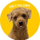 롤링파스타 고덕점