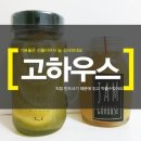 고하우스