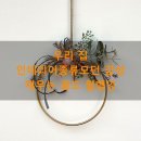 중앙장식 - 화성시 와우안길 75 | 우리 집 인테리어종류모던 감성 채우는 골드 월행잉 플랜트 벽장식 솔직 후기