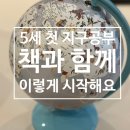 방방곡곡 그림책 세계탐험 | 유아 지구본 추천, 5세 아이 첫 지구공부 마이리틀타이거 동물탐험 지구본 후기