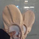 해브인발레학원 이미지