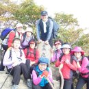 성원BYC Daum카페