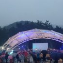 음악회 티스토리