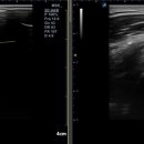 태전드림정형외과의원 이미지