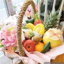 [인천 계양구 꽃배달]스투키화분 꽃배달 배송사진/공지정화 식물 생일축하선물 이미지