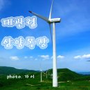 (주)대관령식품 이미지