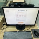 미탄스포츠 | OPIc 오픽 일본어 후기 (서베이, 기출 문제)