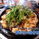 황소돌곱창 | 대구 율하 곱창 막창 대창 모듬구이 맛집 율하황소돌곱창 내돈내산 후기(feat. 주차)