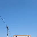 (주)왕왕 | 왕왕 랜드 유기견 보호소 봉사 후기