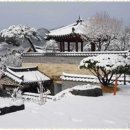 대박부동산공인중개사사무소 이미지