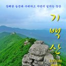 제325차 정기산행 - 경남 함양 기백산(1,331m) 용추계곡 이미지