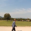 몬스터경주