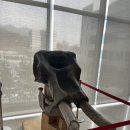 오타코 | 1박2일 경기 의정부 과학여행 | 의정부 을지대학교병원 공룡화석, 의정부 과학도서관 | 오타코 후기