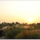 하늘공원 이미지