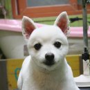 뭉치쌀롱 이미지