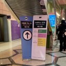 뮤뮤캣 | 2025 서울일러스트레이션페어 V.20 3일차 관람 후기: 부스 추천, 옷 보관