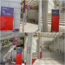 7월 마티네콘서트 이미지