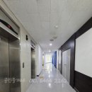 효신빌딩 이미지