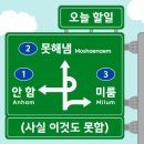 준나커피 | [직장인 노비 일기] 불꽃야구 직관 몇번 갔을까? 5월