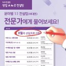 컨설팅줌 이미지