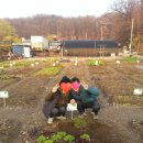 서림동-11 이미지