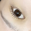남·여 머리염색 구피샵 | [미금역] 라인의온도 분당점 :: 속눈썹펌·눈썹염색 같이 받기 좋은 곳 | 자연스러운 C컬 후기