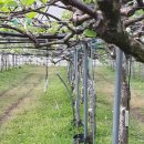 한아농장 이미지