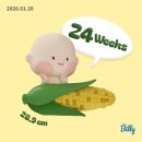 CU장기현대점 | 임신 24주차 태교여행 1월 제주도