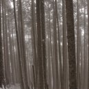 무릉농장 이미지