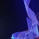 아리랑거리(상인회) 이미지