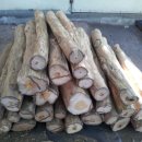 이화농장 이미지