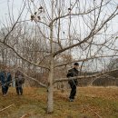 연수농장 이미지