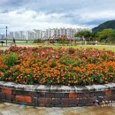 작곡가 박태준 흉상 이미지