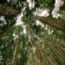 양지 메가스터디 기숙학원 이미지