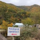 곤달비캠프 이미지