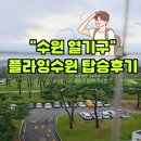 하늘땅유치원 | 수원 열기구 플라잉수원 예약 꿀팁과 실제 탑승 후기