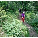 이월초등학교 이미지