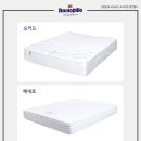 던롭필로침대