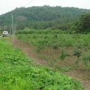 북영천IC주유소 이미지