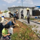 전주시립도서관꽃심 이미지